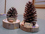DSC00616.JPG